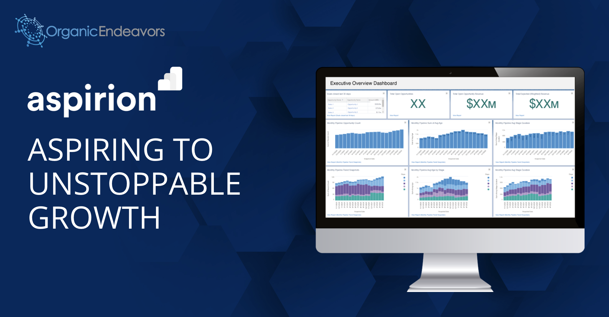 Aspirion Case Study Organic Endeavors HubSpot & Salesforce Experts